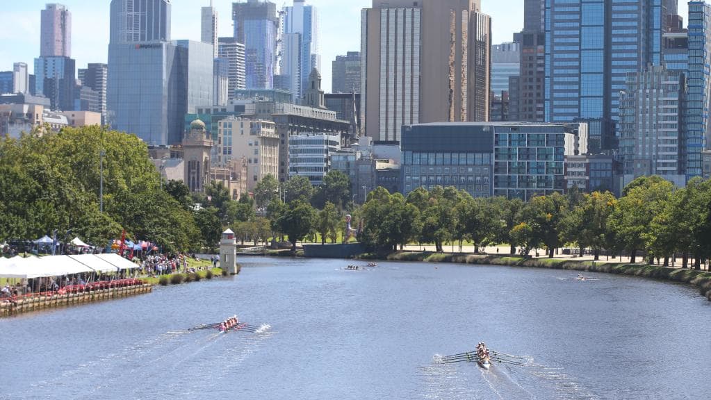Đón xem cuộc thi đua thuyền hàng năm Australian Henley Regatta