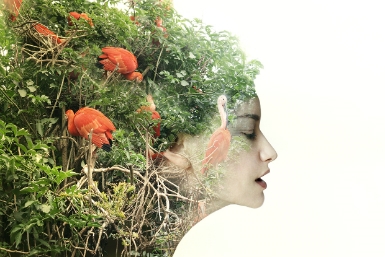 Tuần lễ Lễ hội Thúc đẩy lối sống bền vững