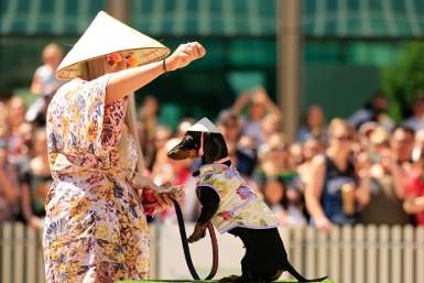 Sôi nổi ngày Hội đua chó lạp xưởng thường niên tại vùng Southgate