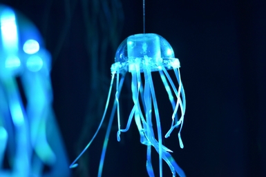 Cuộc triển lãm Beneath - Thế giới đại dương bao la rộng lớn