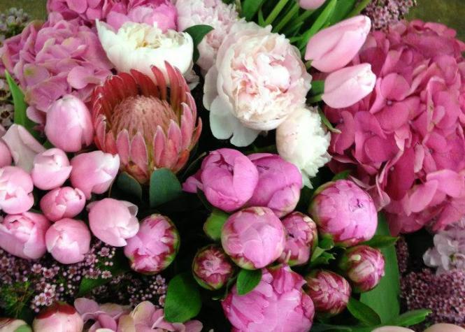 Sự kiện Mùa thu hằng năm